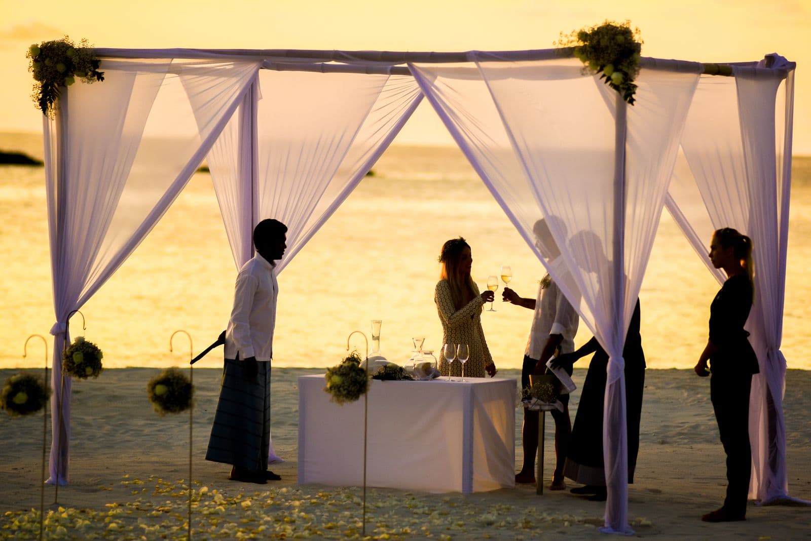 Destination Wedding - Goa